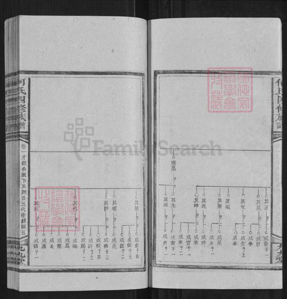 湖南省邵阳市何氏族谱-何氏四修族谱.pdf电子版插图5