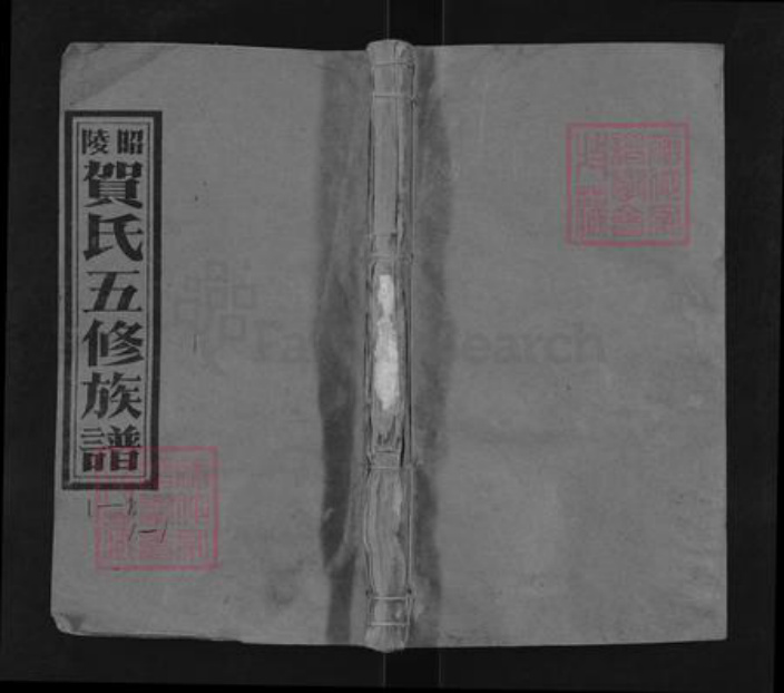 湖南省邵阳市贺氏儒宗堂族谱-昭陵贺氏五修族谱.pdf电子版