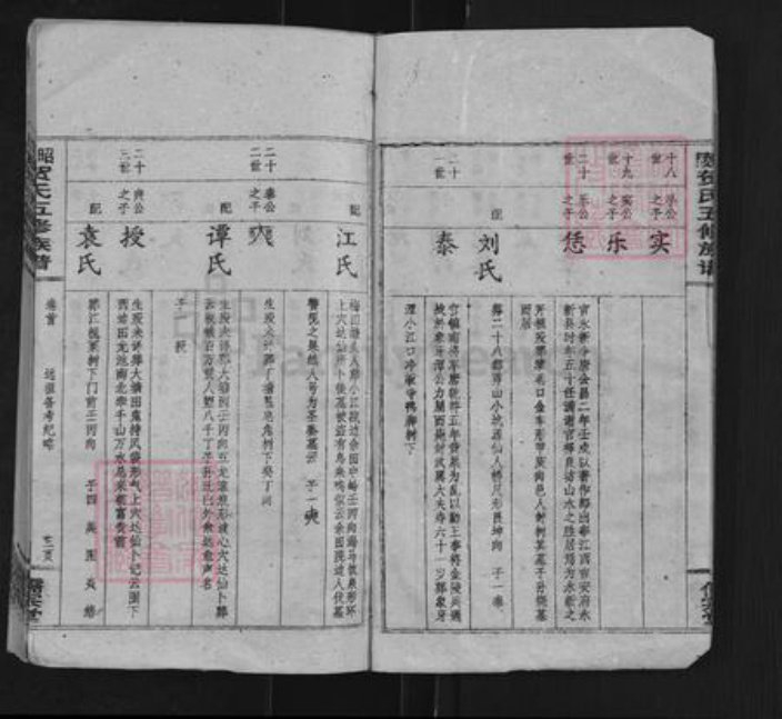 湖南省邵阳市贺氏儒宗堂族谱-昭陵贺氏五修族谱.pdf电子版插图3