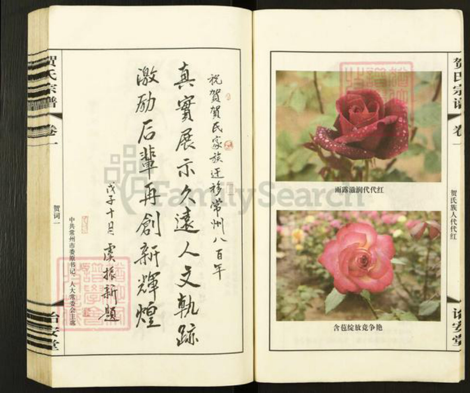 江苏省常州市武进县横林镇贺氏诒安堂族谱-贺氏宗谱.pdf电子版插图5