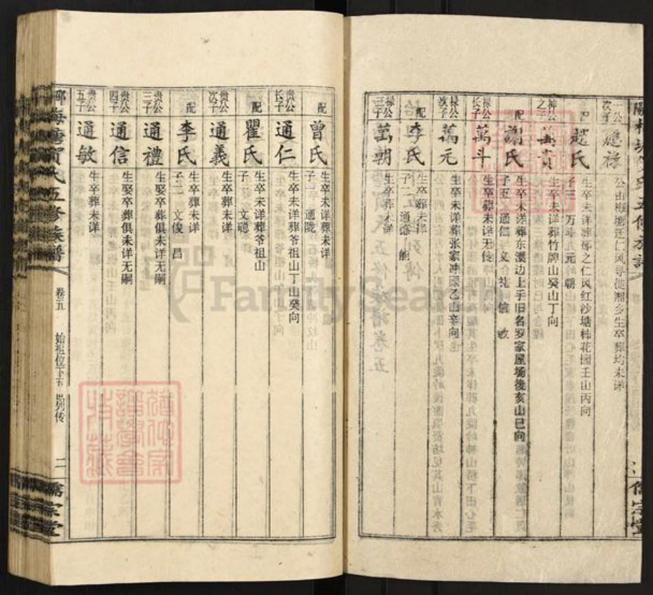 湖南省邵阳市隆回县岩口镇贺氏儒宗堂族谱-邵阳梅塘贺氏五修族谱.pdf电子版插图2