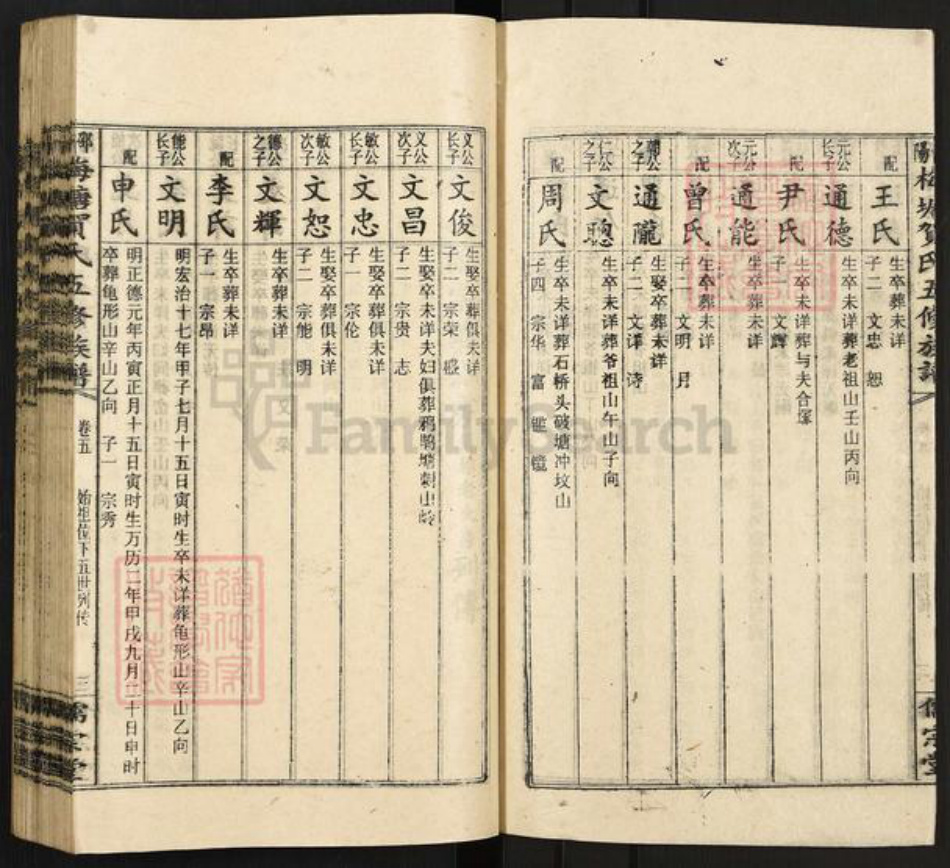 湖南省邵阳市隆回县岩口镇贺氏儒宗堂族谱-邵阳梅塘贺氏五修族谱.pdf电子版插图3