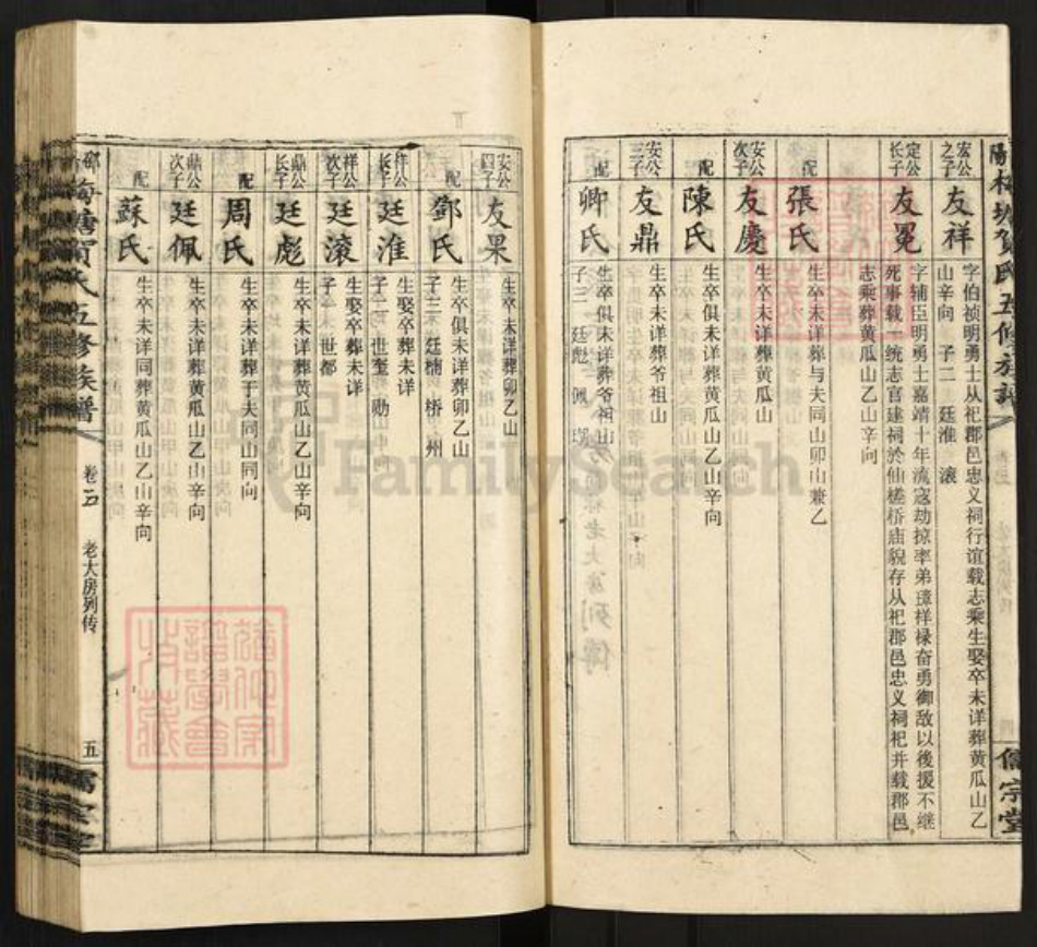 湖南省邵阳市隆回县岩口镇贺氏儒宗堂族谱-邵阳梅塘贺氏五修族谱.pdf电子版插图5