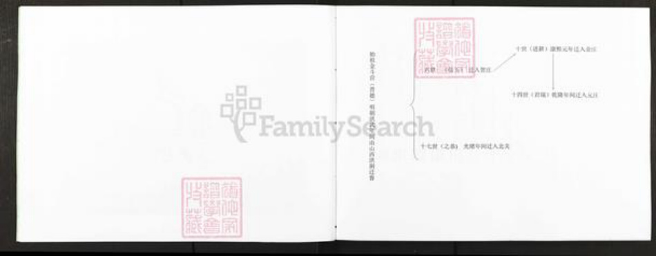 山东省聊城市阳谷县贺氏族谱-贺氏宗谱.pdf电子版插图4