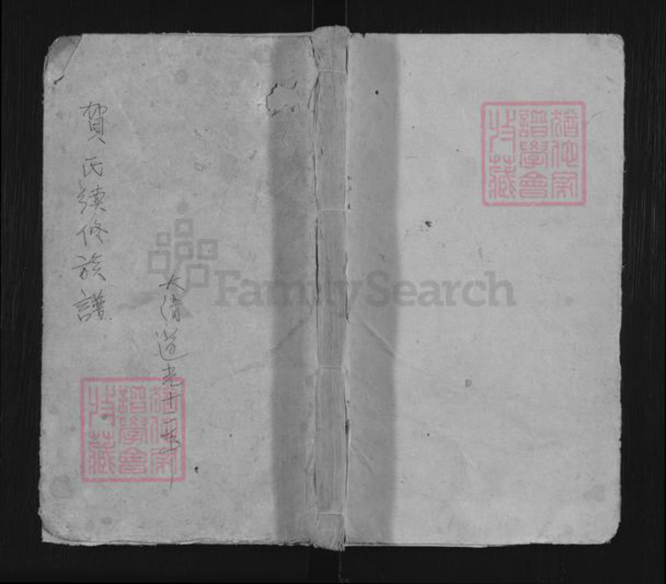 湖南省益阳市资阳区贺氏族谱-贺氏续修族谱.pdf电子版插图