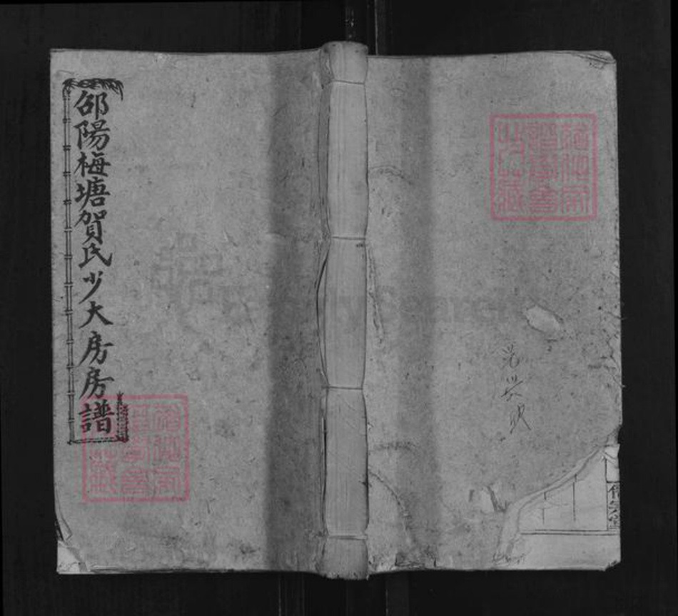 湖南省邵阳市隆回县岩口镇贺氏儒宗堂族谱-邵阳梅塘贺氏少大房房谱.pdf电子版插图