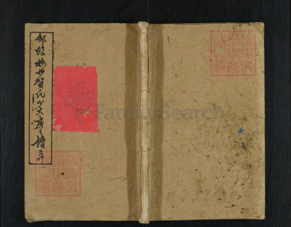 湖南省邵阳市隆回县岩口镇贺氏儒宗堂族谱-邵阳梅塘贺氏五修房谱.pdf电子版插图