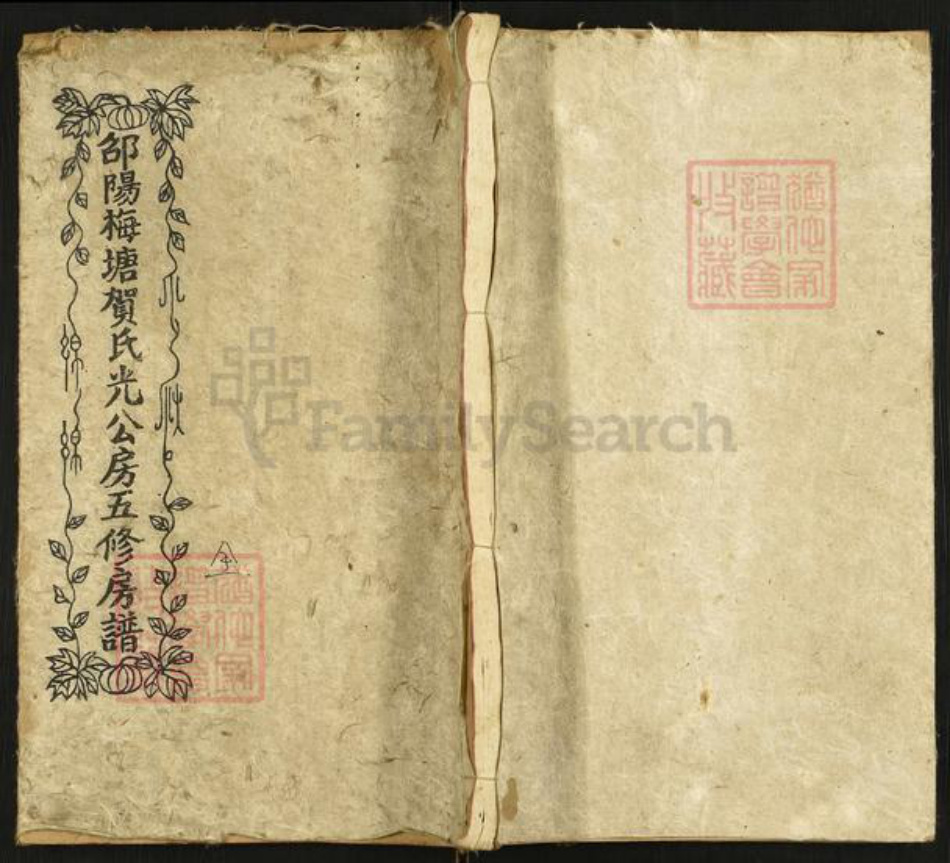 湖南省邵阳市隆回县岩口镇贺氏儒宗堂族谱-邵阳梅塘贺氏光公房五修房谱.pdf电子版插图