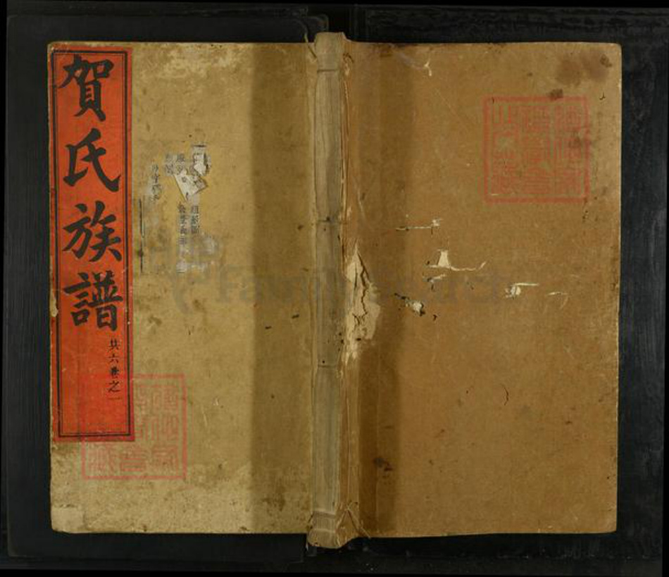 湖南省益阳市资阳区贺氏族谱-贺氏族谱.pdf电子版插图