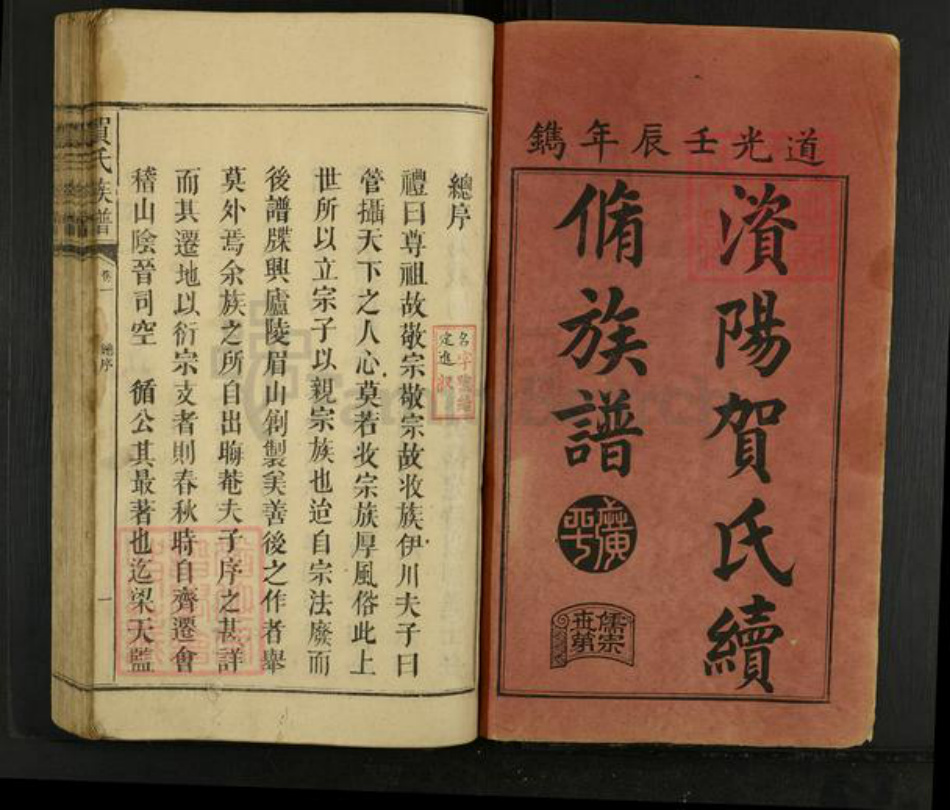 湖南省益阳市资阳区贺氏族谱-贺氏族谱.pdf电子版插图1