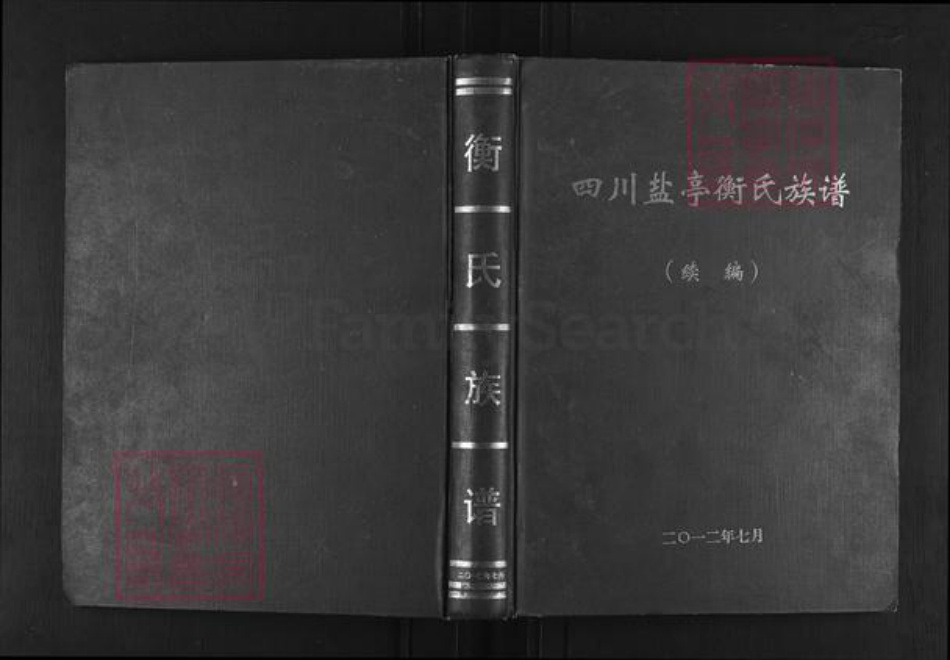 四川省绵阳市盐亭县金孔镇衡氏族谱-四川盐亭衡氏族谱.pdf电子版插图
