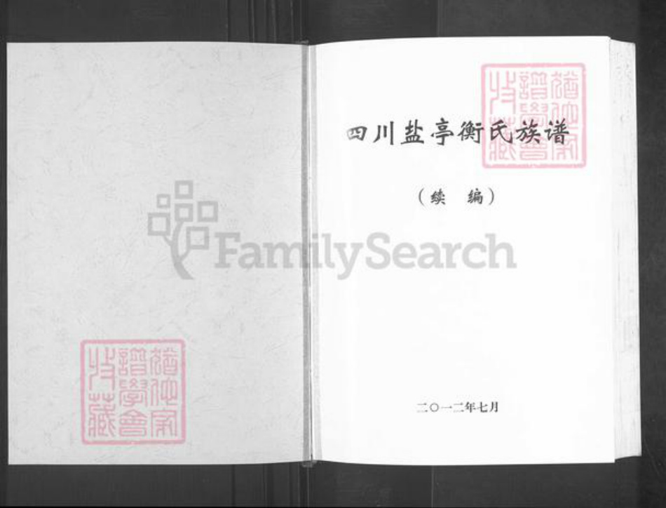 四川省绵阳市盐亭县金孔镇衡氏族谱-四川盐亭衡氏族谱.pdf电子版插图1