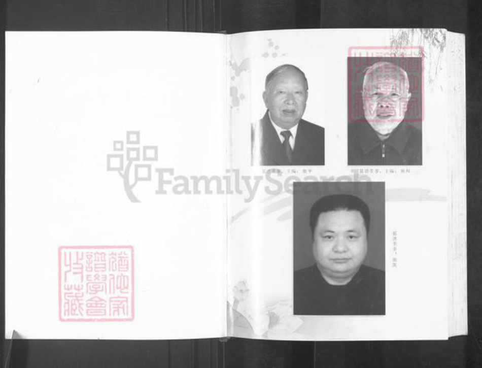 四川省绵阳市盐亭县金孔镇衡氏族谱-四川盐亭衡氏族谱.pdf电子版插图2