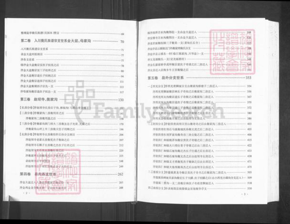 四川省绵阳市盐亭县金孔镇衡氏族谱-四川盐亭衡氏族谱.pdf电子版插图4