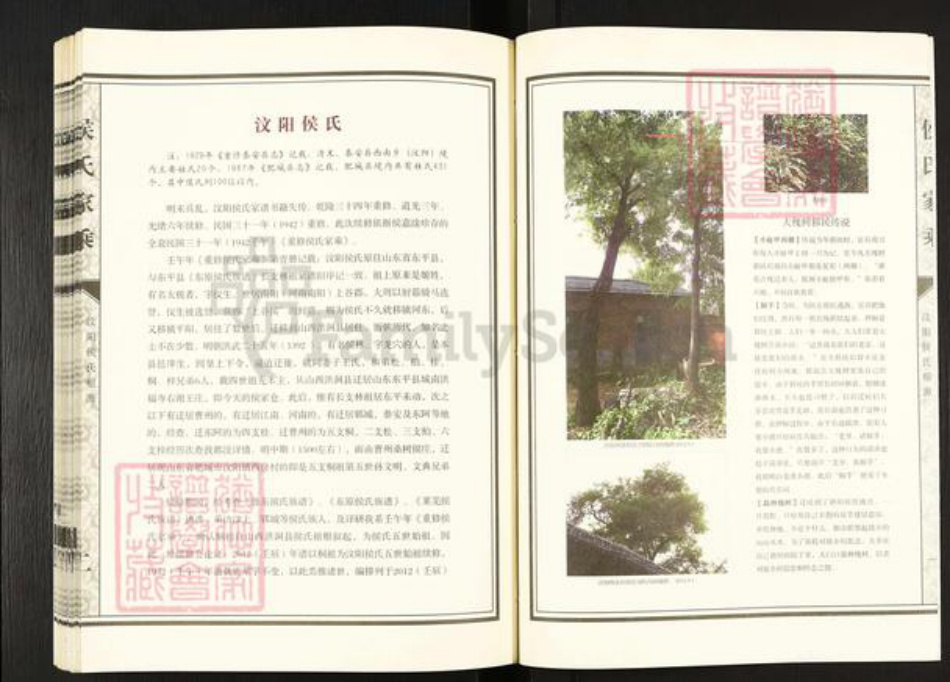 山东省泰安市肥城市汶阳镇侯氏敦睦堂族谱-侯氏家乘.pdf电子版插图4