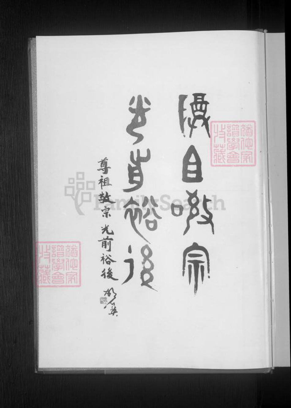 甘肃省庆阳市镇原县胡氏族谱-世界胡氏通谱.pdf电子版插图4