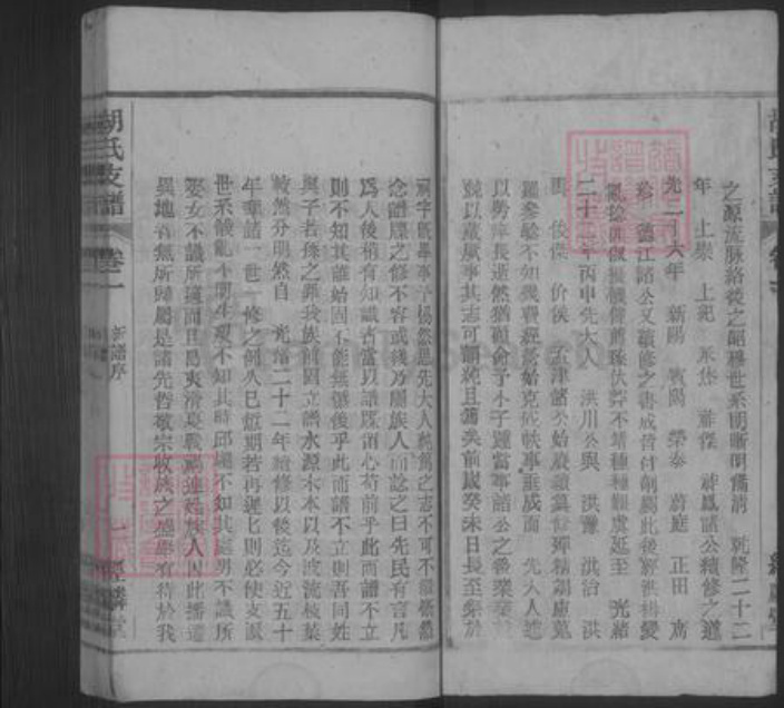 安徽省安庆市桐城市胡氏族谱-胡氏支谱 [10卷,末1卷].pdf电子版插图2