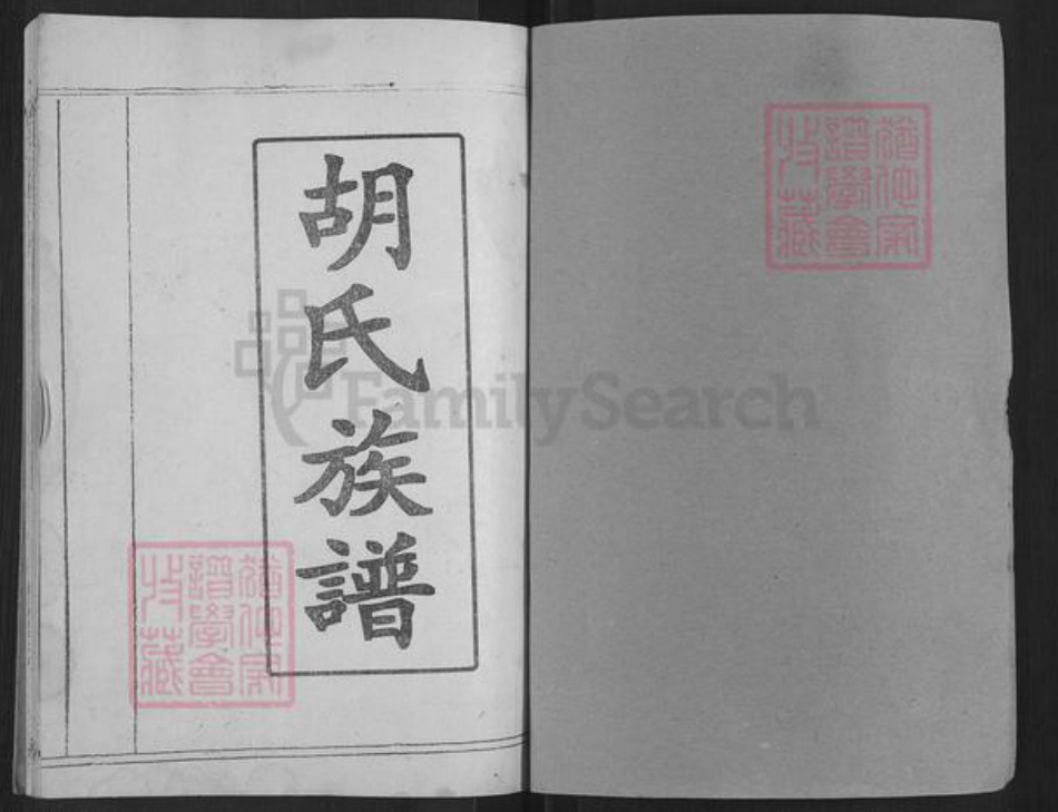 湖北省黄冈市麻城市白果镇胡氏族谱-胡氏族谱.pdf电子版插图1