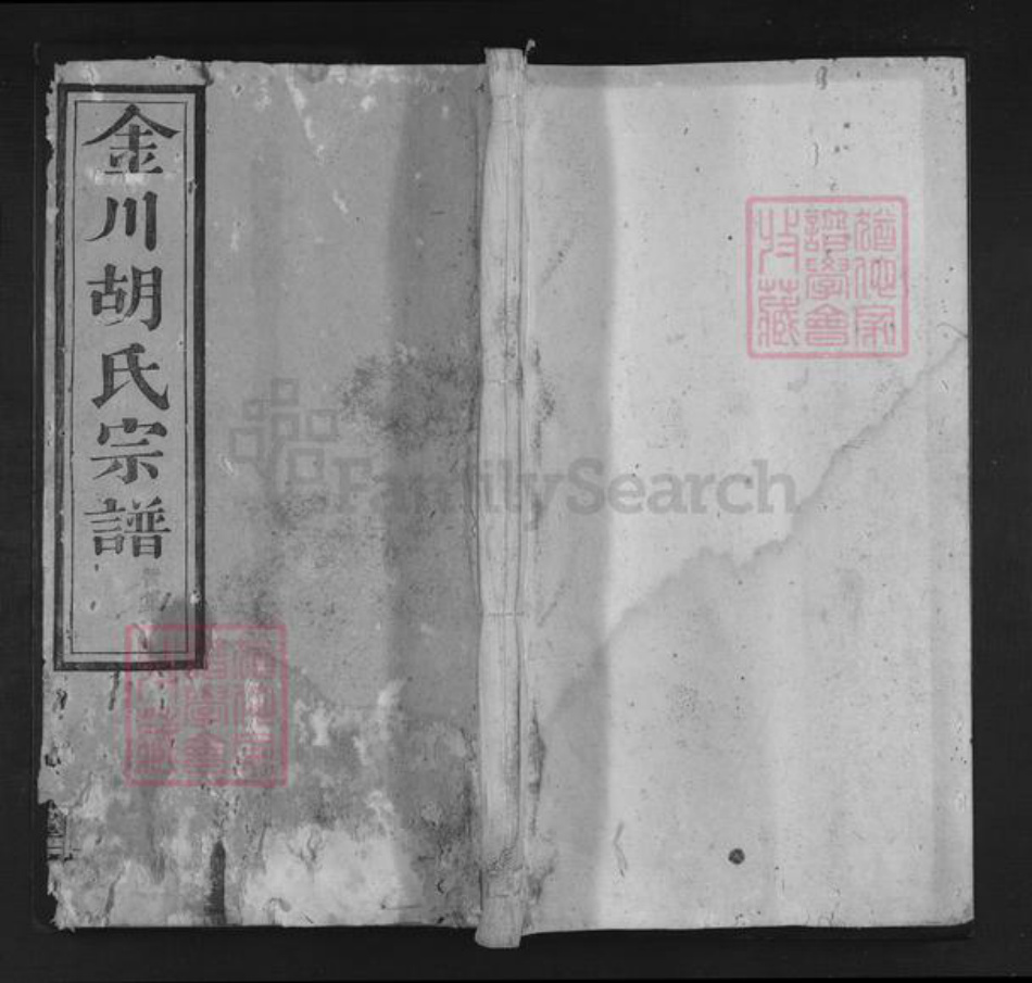 安徽省黄山市歙县金川乡胡氏叙伦堂族谱-金川胡氏宗谱.pdf电子版插图