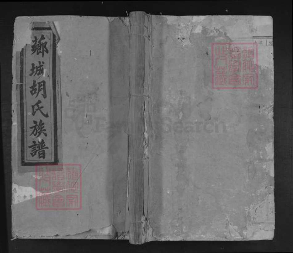 江西省吉安市青原区值夏镇胡氏族谱-芗城胡氏族谱.pdf电子版插图