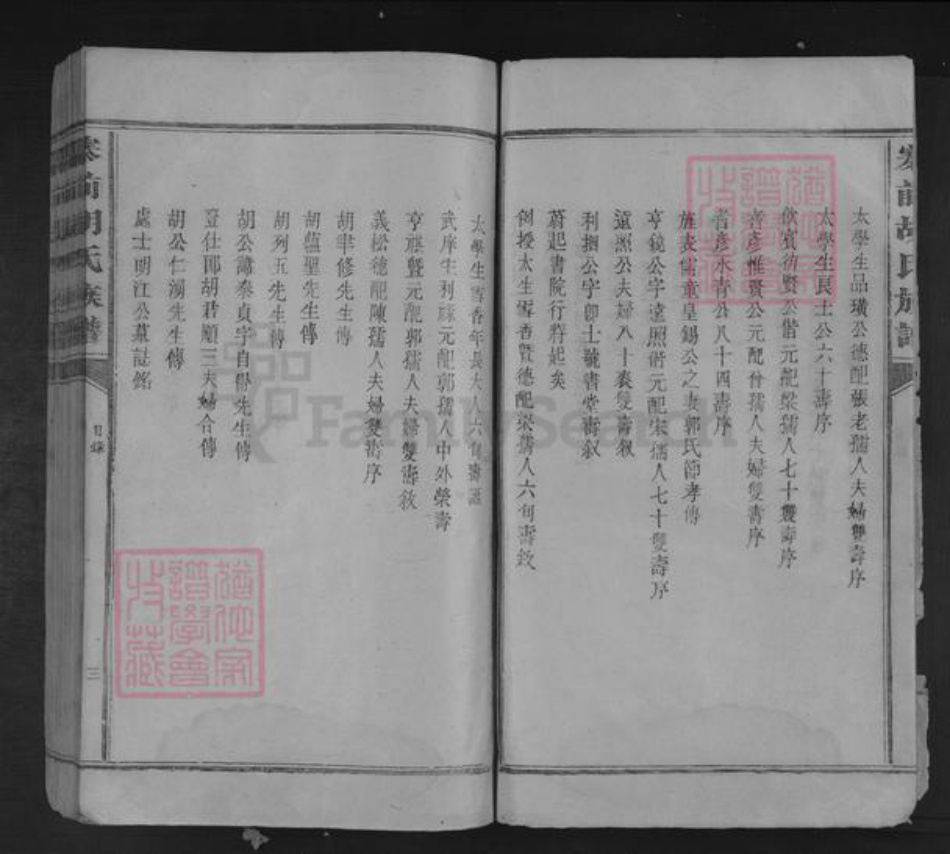 江西省吉安市青原区值夏镇胡氏族谱-芗城胡氏族谱.pdf电子版插图3