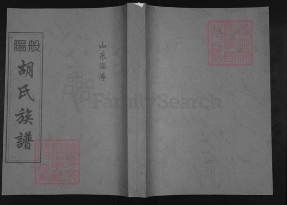山东省淄博市淄川区胡氏族谱-般阳胡氏族谱.pdf电子版插图