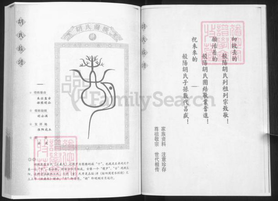 山东省淄博市淄川区胡氏族谱-般阳胡氏族谱.pdf电子版插图2