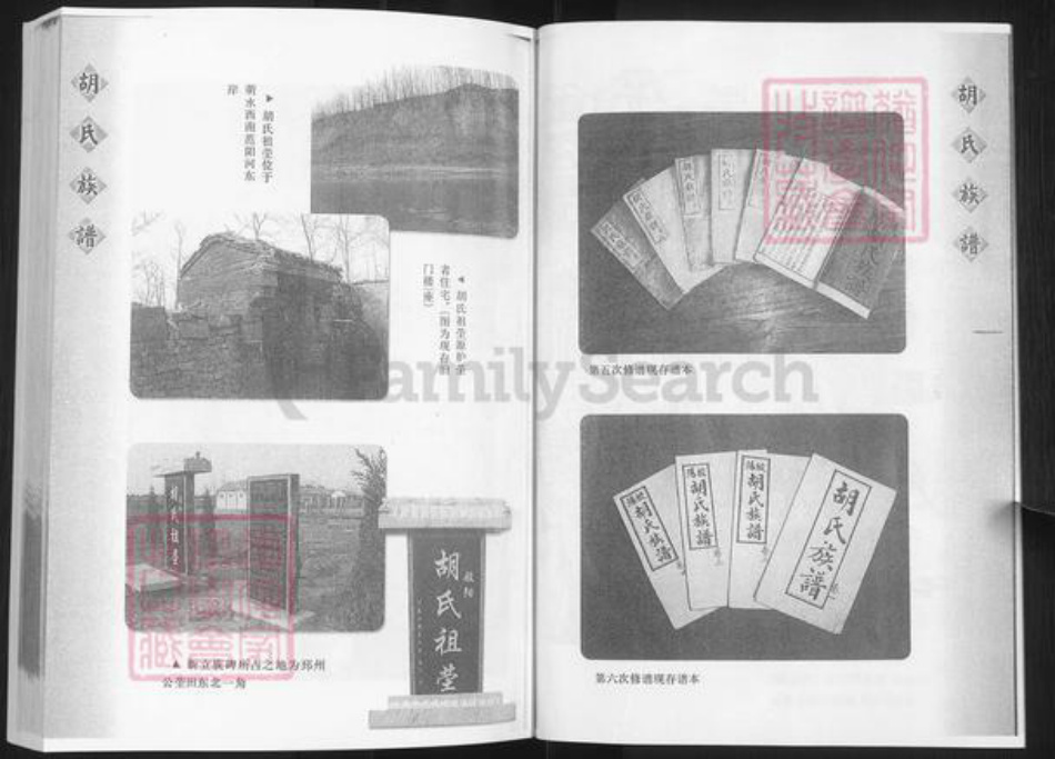 山东省淄博市淄川区胡氏族谱-般阳胡氏族谱.pdf电子版插图4