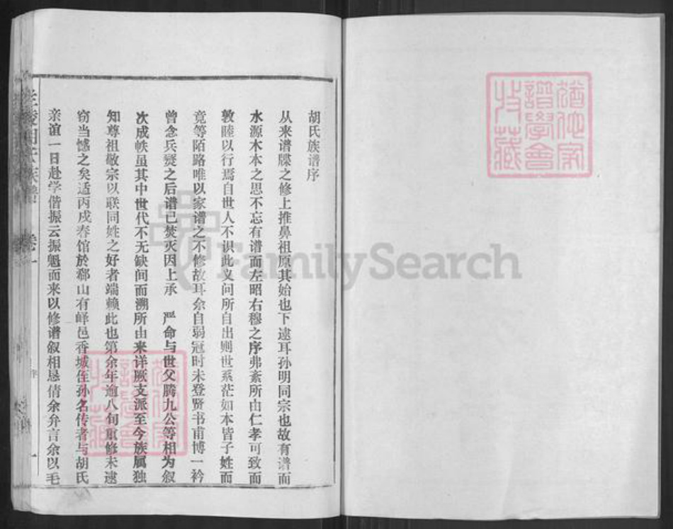 山东省临沂市兰陵县兰陵镇胡氏安定堂族谱-兰陵胡氏族谱.pdf电子版插图2