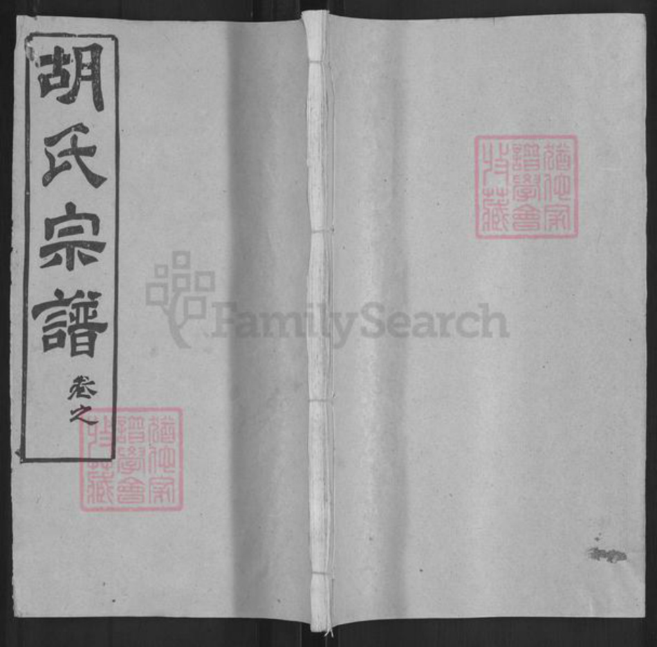 湖北省黄冈市红安县胡氏安定堂族谱-胡氏宗谱.pdf电子版插图