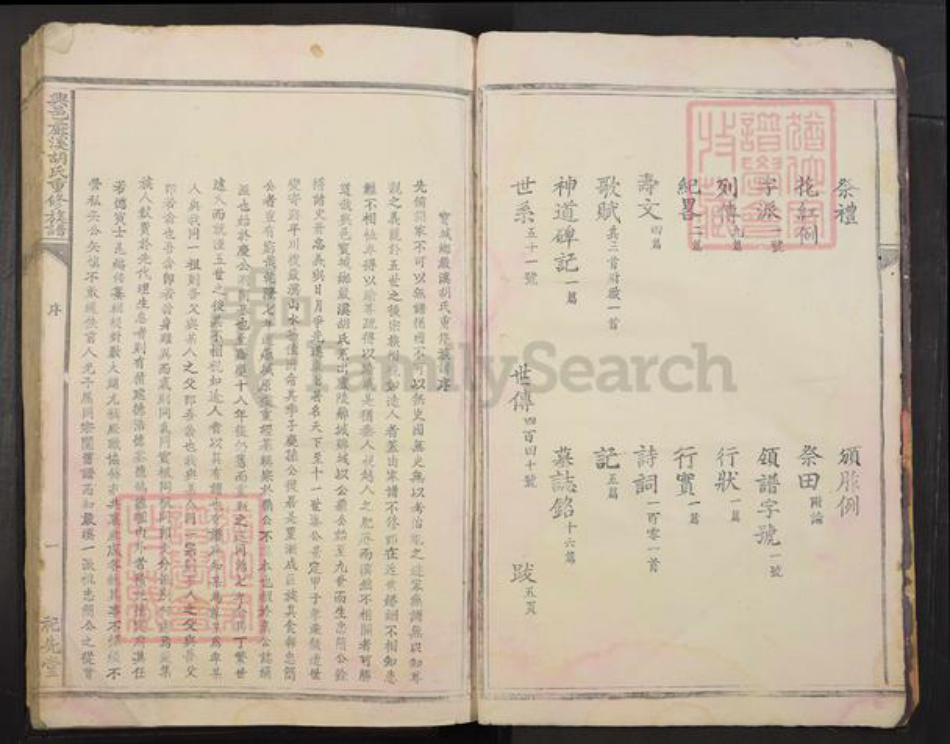 江西省赣州市兴国县胡氏族谱-兴邑严溪胡氏重修族谱[2册].pdf电子版插图4