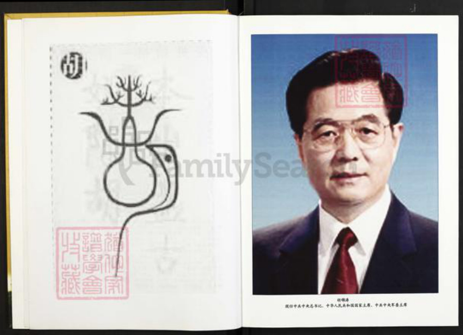 江西省抚州市南丰县市山镇胡氏族谱-世界胡氏通谱.江西南丰分谱.pdf电子版插图4
