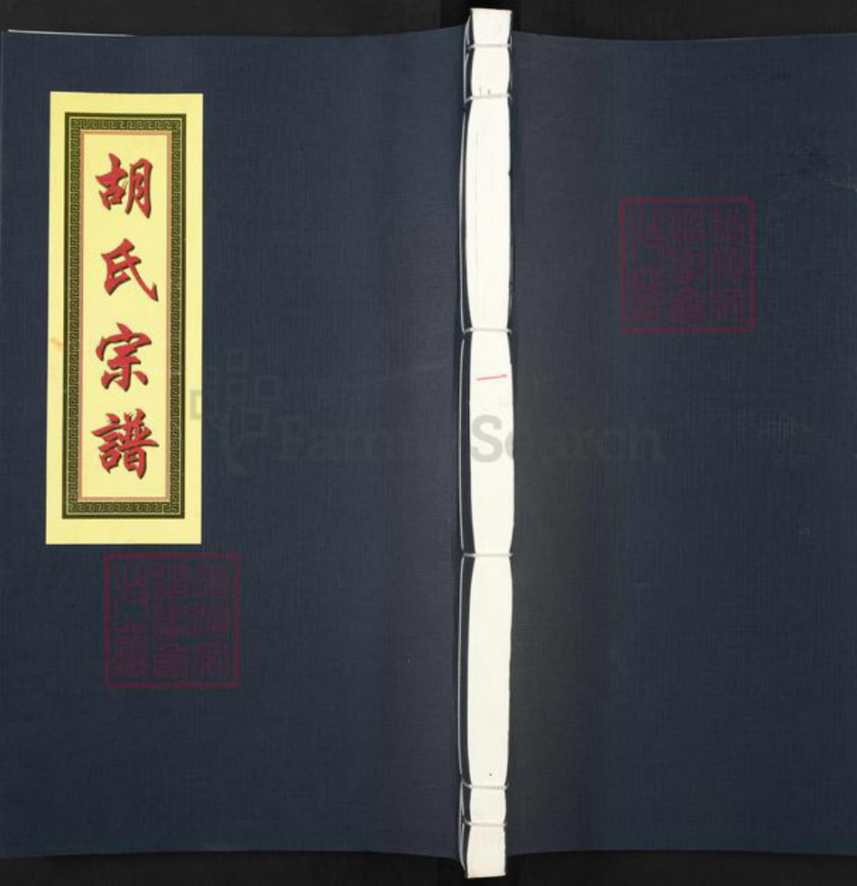 江西省上饶市鄱阳县胡氏万寿堂族谱-安定胡氏宗谱.pdf电子版插图