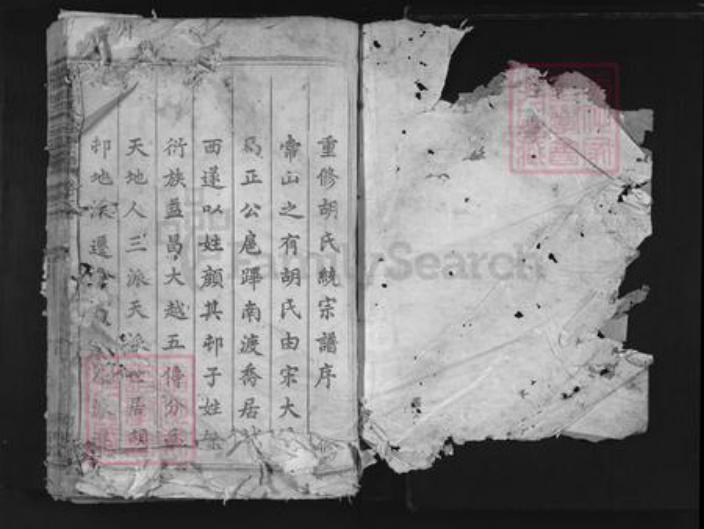 浙江省衢州常山县胡氏翼善堂族谱-常山胡氏六公派宗谱.pdf电子版插图1