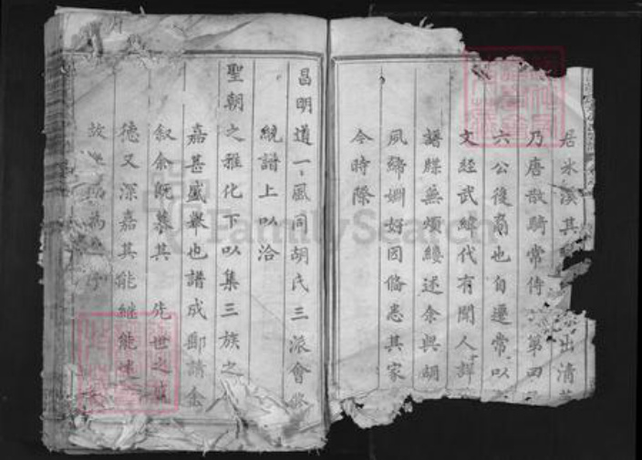 浙江省衢州常山县胡氏翼善堂族谱-常山胡氏六公派宗谱.pdf电子版插图2