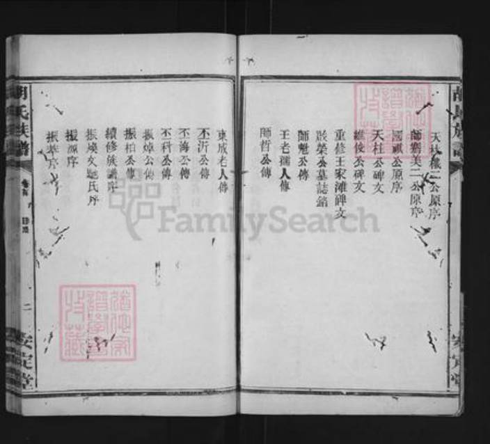 湖南省常德市武陵区胡氏安定堂族谱-胡氏族谱.pdf电子版插图5