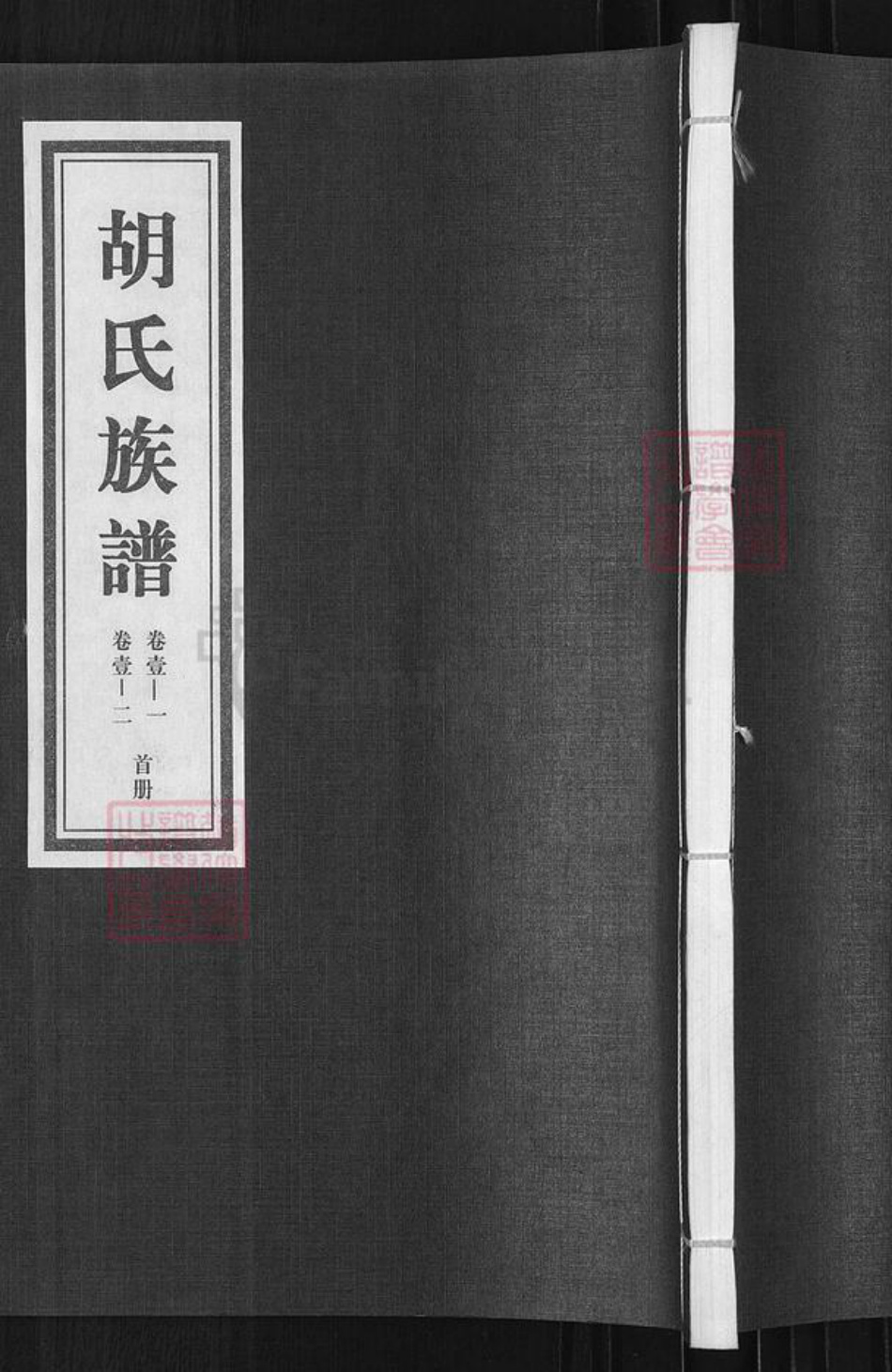 山东省临沂市临沭县胡氏族谱-胡氏族谱.pdf电子版插图