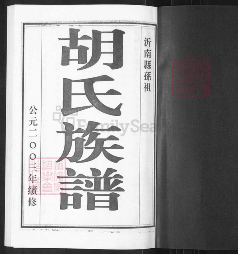山东省临沂市临沭县胡氏族谱-胡氏族谱.pdf电子版插图1