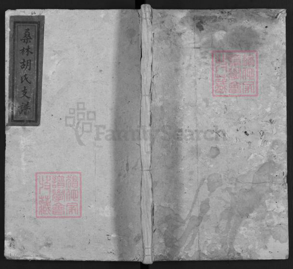 湖南省娄底市双峰县胡氏桑林堂族谱-桑林胡氏支谱.pdf电子版插图