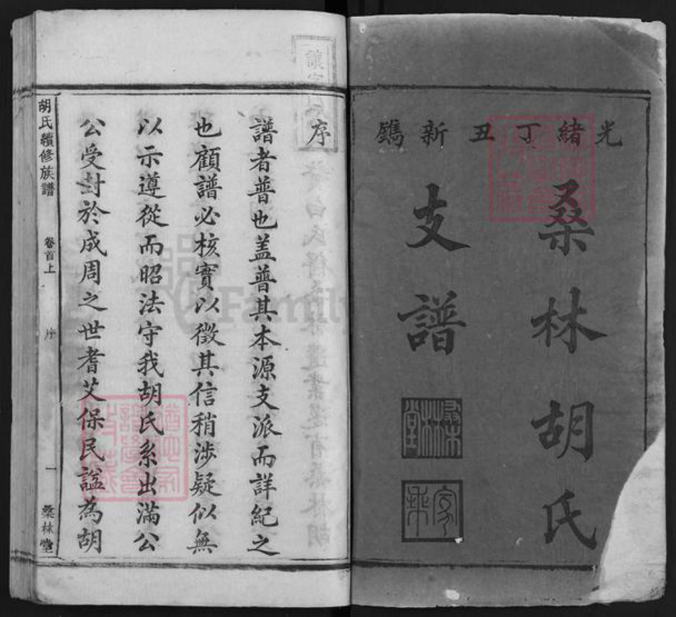 湖南省娄底市双峰县胡氏桑林堂族谱-桑林胡氏支谱.pdf电子版插图1