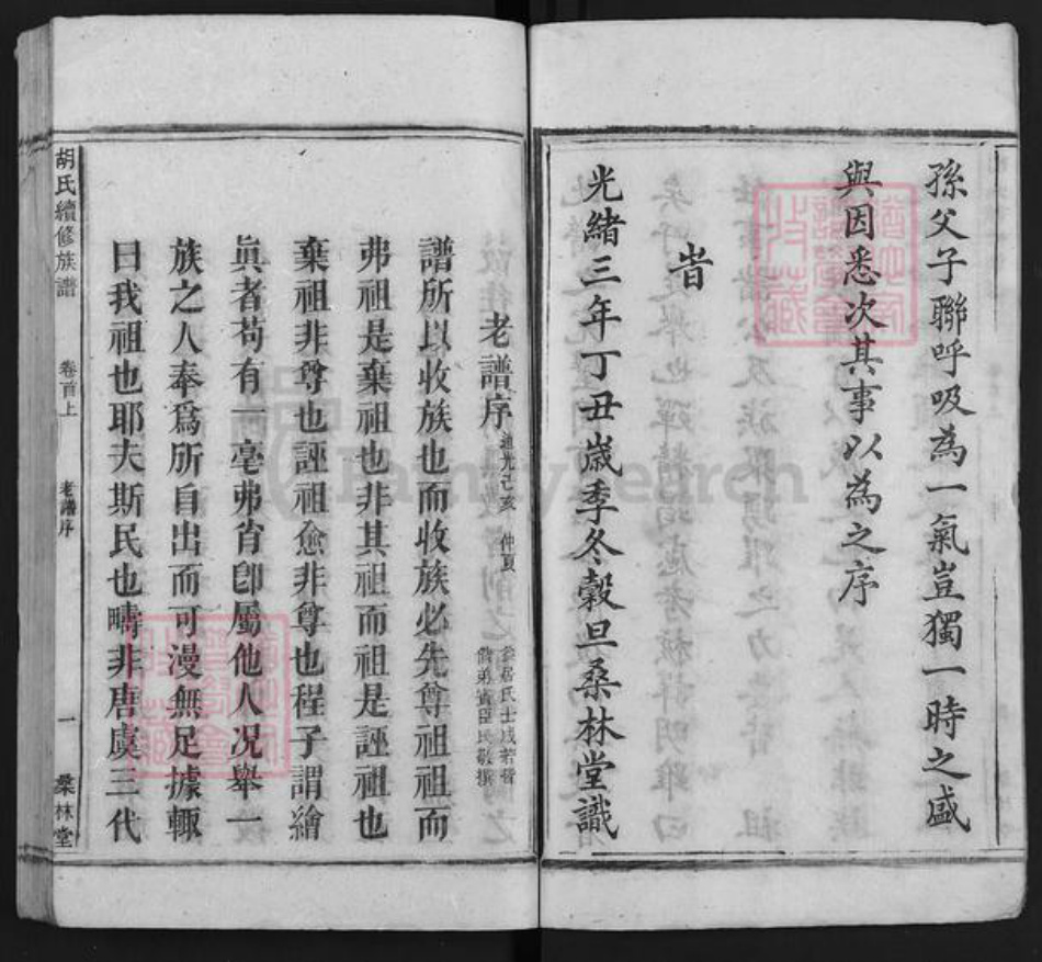 湖南省娄底市双峰县胡氏桑林堂族谱-桑林胡氏支谱.pdf电子版插图5
