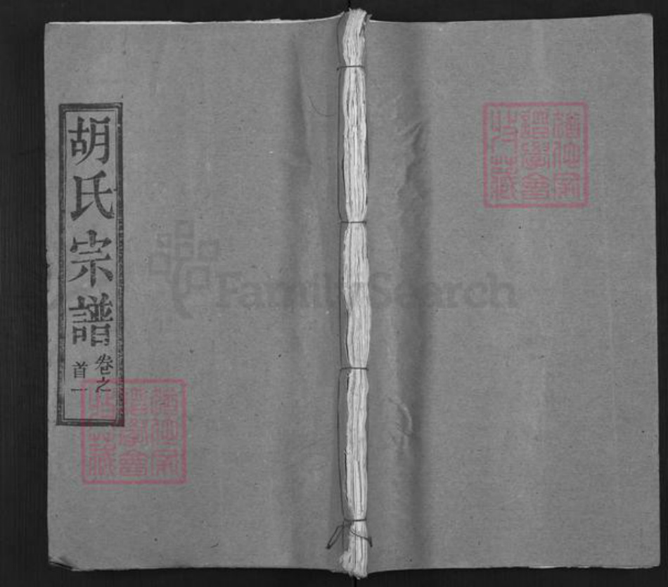 湖北省武汉市新洲区胡氏安定堂族谱-胡氏宗谱.pdf电子版插图