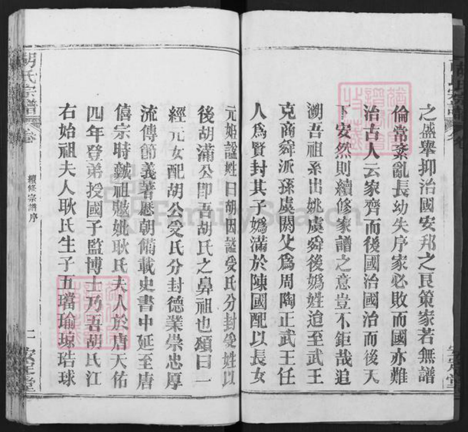湖北省武汉市新洲区胡氏安定堂族谱-胡氏宗谱.pdf电子版插图2