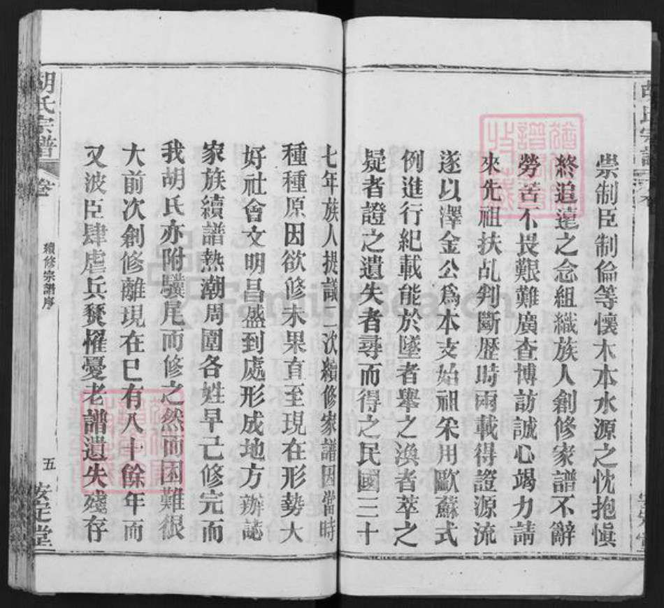 湖北省武汉市新洲区胡氏安定堂族谱-胡氏宗谱.pdf电子版插图5