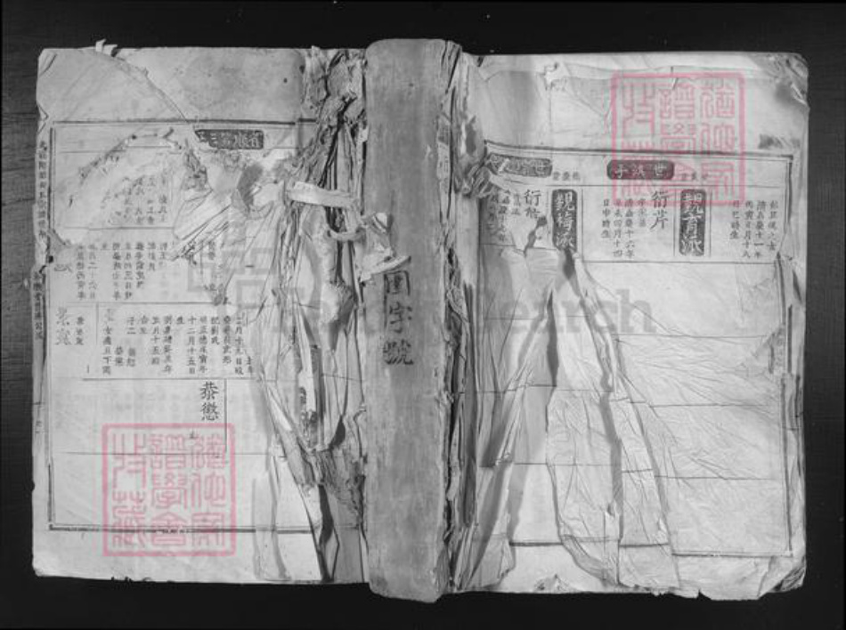 江西省吉安市吉安市吉安胡氏和乐堂族谱-北溪隈塘胡氏宗谱世系.pdf电子版插图