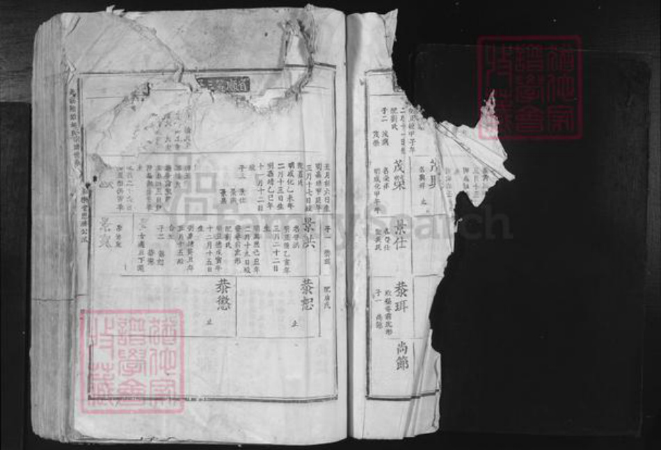 江西省吉安市吉安市吉安胡氏和乐堂族谱-北溪隈塘胡氏宗谱世系.pdf电子版插图1