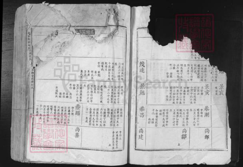 江西省吉安市吉安市吉安胡氏和乐堂族谱-北溪隈塘胡氏宗谱世系.pdf电子版插图2