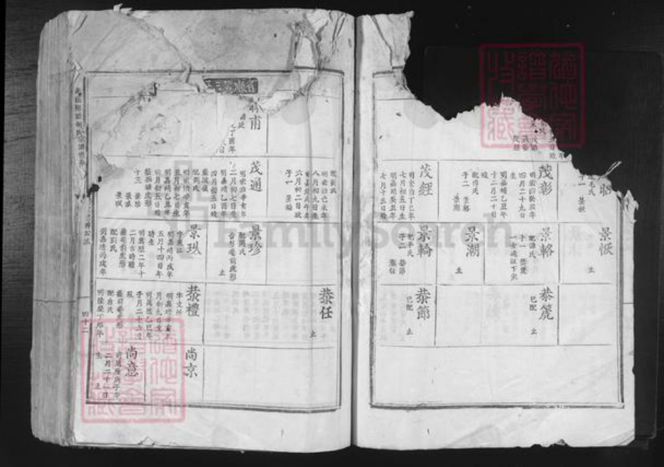 江西省吉安市吉安市吉安胡氏和乐堂族谱-北溪隈塘胡氏宗谱世系.pdf电子版插图4