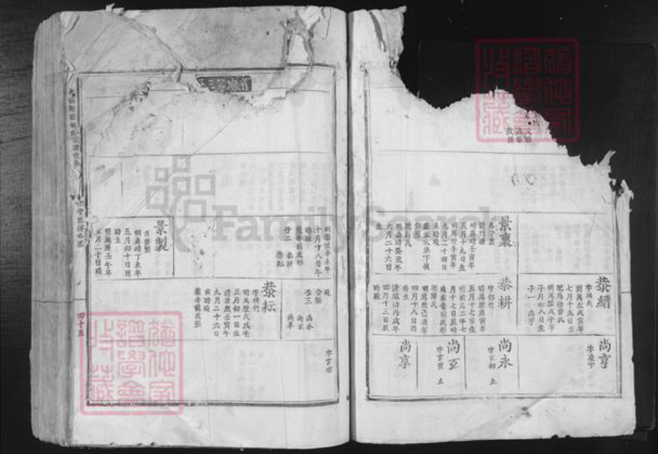 江西省吉安市吉安市吉安胡氏和乐堂族谱-北溪隈塘胡氏宗谱世系.pdf电子版插图5