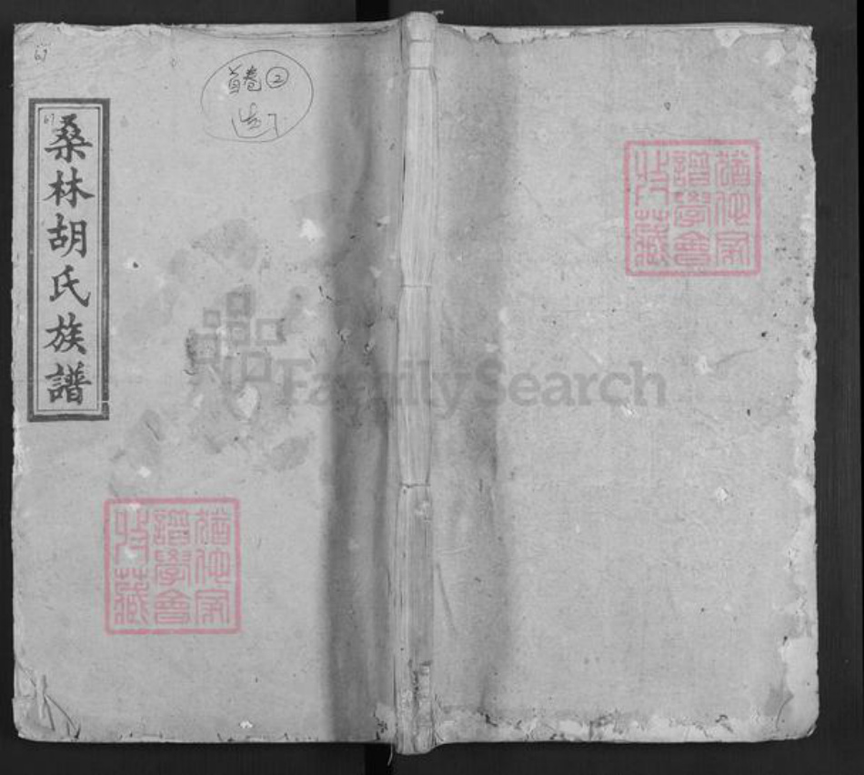 湖南省娄底市双峰县胡氏桑林堂族谱-桑林胡氏族谱.pdf电子版插图